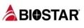 Biostar Laptop Accu