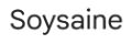 Soysaine Laptop Accu